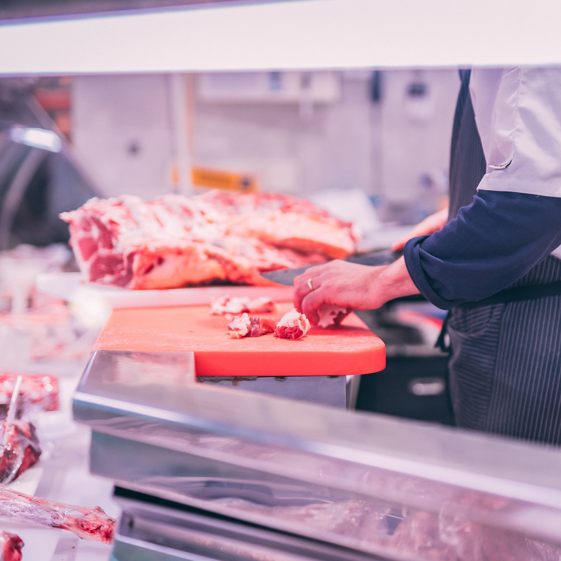 El sistema de vigilancia sanitaria confirma la solidez del sector porcino español ante un foco puntual en fauna silvestre