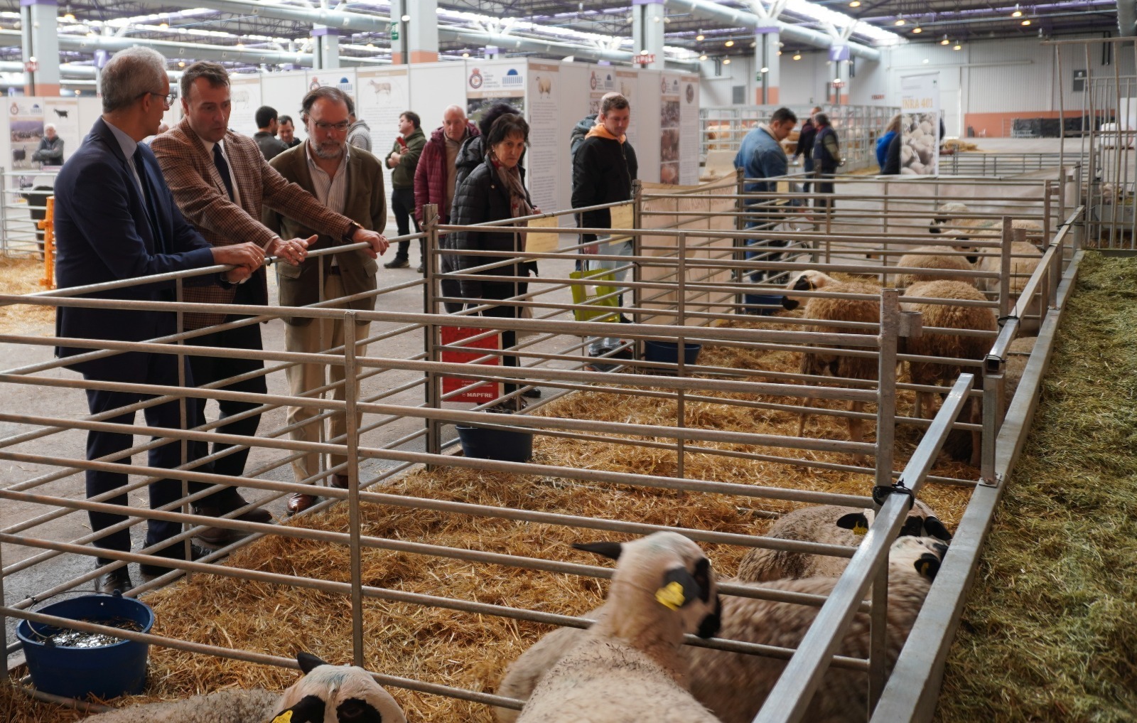 Macroencuesta sobre iniciativas locales de apoyo a la ganadería y la industria cárnica